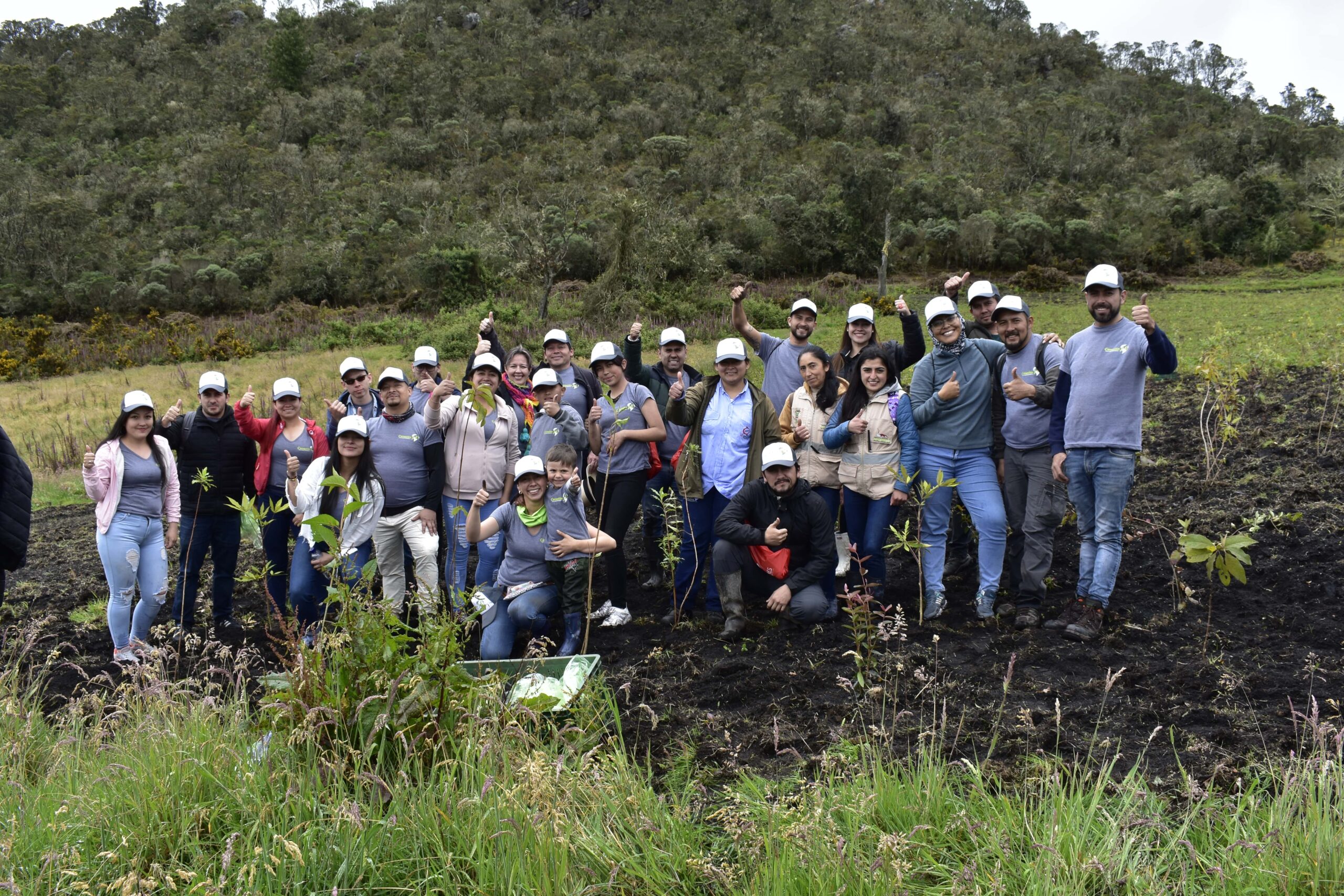 Jornada de siembra de árboles en la reserva forestal Encenillo en Guasca Cundinamarca-4